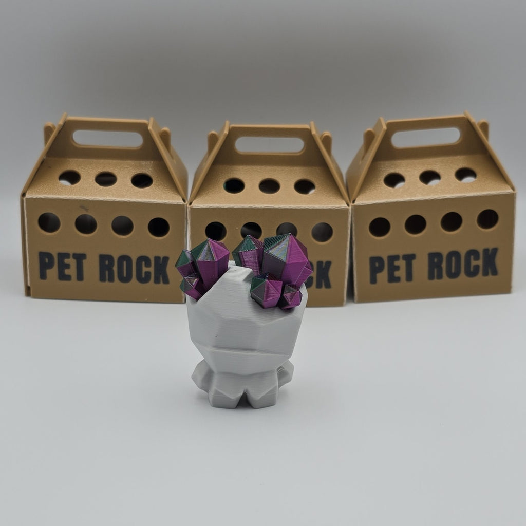 Crystal Pet Rock with Carrying Crate – 3D Printed, designed by Blob Lab