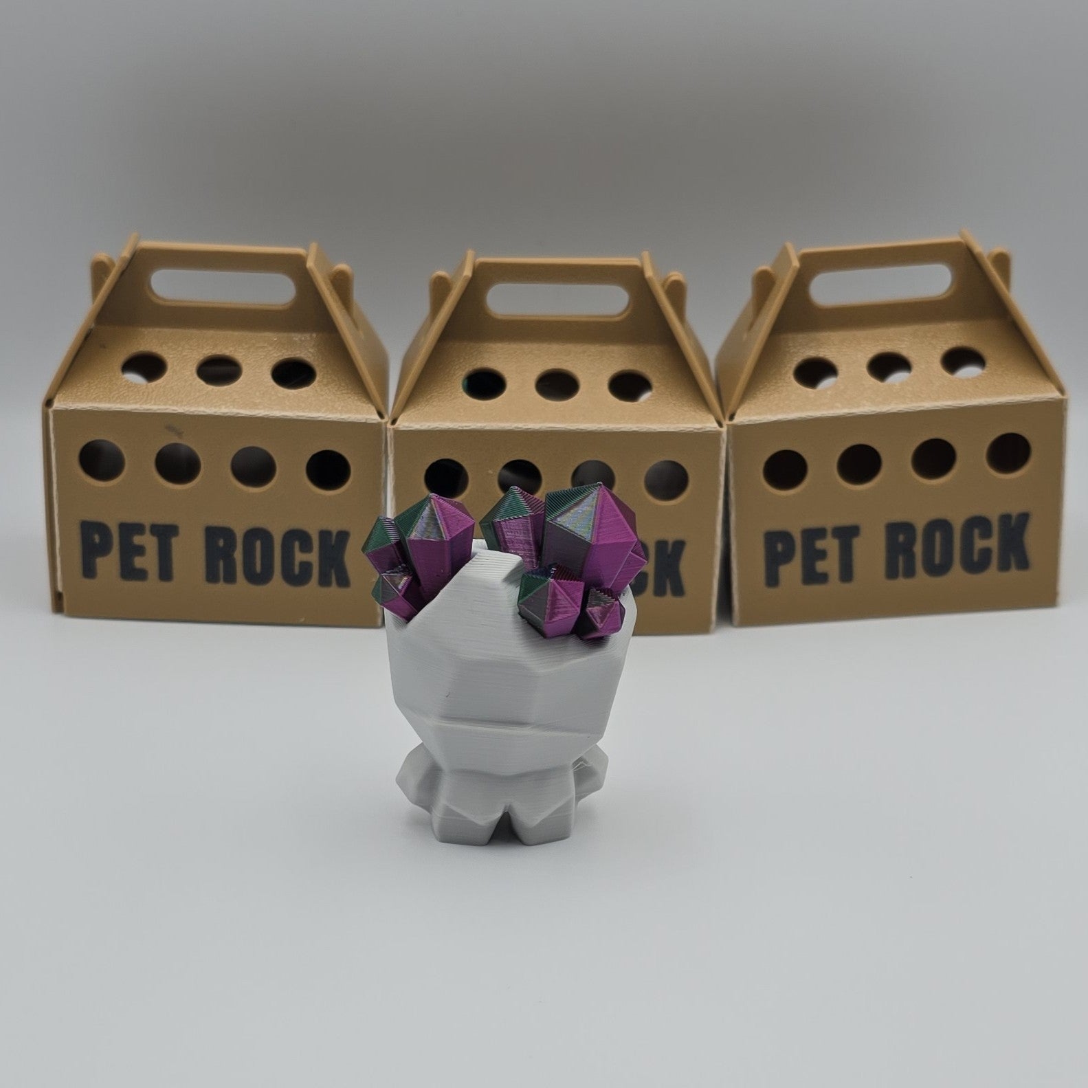 Crystal Pet Rock with Carrying Crate – 3D Printed, designed by Blob Lab